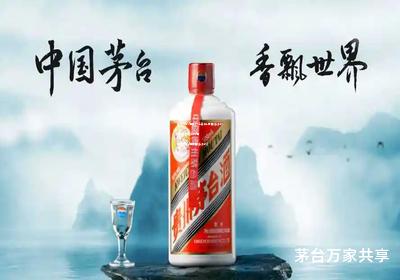 茅台总代理要什么条件,需要多少钱(茅台酒怎么代理 茅台总代理需要多少钱)