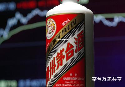 茅台酒的总代理在哪里(茅台集团 代理)