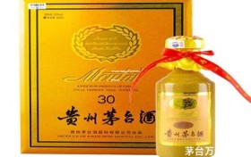 飞天茅台代理费多少钱(茅台飞天代理价多少)
