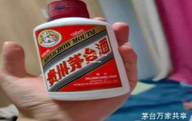 飞天茅台酒代理条件是什么(飞天茅台酒代理条件是什么样的)
