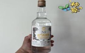 12年飞天茅台53度现在市场价多少,12年飞天茅台53度价格2020市场价