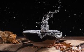 白酒加盟网站有哪些好(白酒加盟信息)