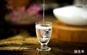 茅台经销商代码c开头代表什么,茅台经销商代码9位数字的含义