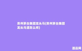 贵州茅台集团龙头马(贵州茅台集团龙头马酒怎么样)