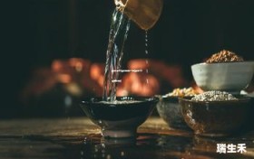 茅台酒52度价格表一览(茅台52度的价格)