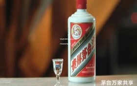 飞天茅台代理权飞天能拿到多少配额(飞天茅台酒代理多少钱)