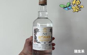 莆田来了官方旗舰店(莆田来了是什么店)