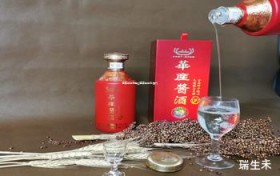 宜宾五粮液地址(宜宾五粮液酒厂)