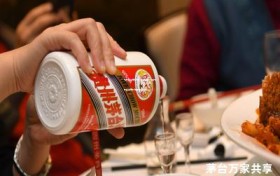 飞天茅台总代理价格多少钱一瓶(飞天茅台总代理需要多少钱)