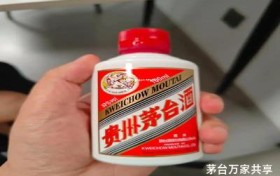 茅台飞天代理价多少钱,飞天茅台代理费多少