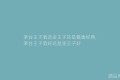 <?php the_title(); ?>